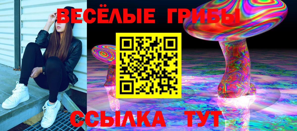 Псилоцибиновые грибы MAGIC MUSHROOMS Тула